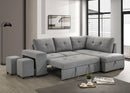 Roanne Pull-Out Sleeper Sectional Sofa