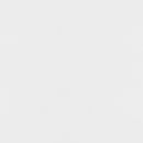 Elsa 2-door Accent Cabinet with Adjustable Shelves White and Gold