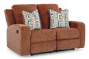 Danum Reclining Loveseat