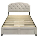 Marianna Panel Platform Storage Bed